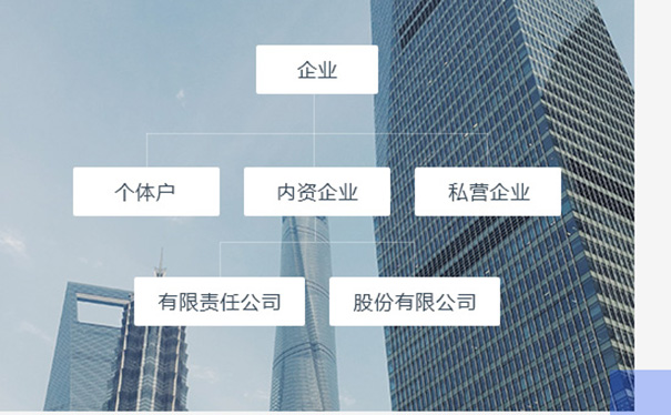 河南省掌上app全程電子化服務平臺流程材料(河南省掌上app全程電子化服務平臺費用)